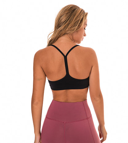 Elevate Sport Bra